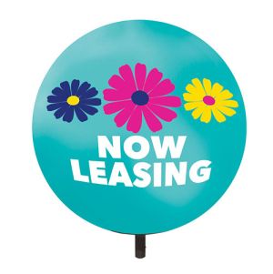 Watercolor Daisies - Now Leasing